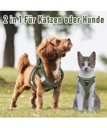 Buy UVTQSSP Olive Green Dog Harness for Small Dogs - Padded with Leash | Comfortable Puppy Harness - Buy Online on GoSupps.com