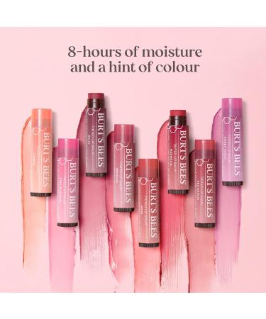 Burt's Bees Lip Care Multipack - Beeswax & Tinted Hibiscus Lip Balm Value Pack (2 x 4.25g) - Shop Internationally - Buy Online on GoSupps.com