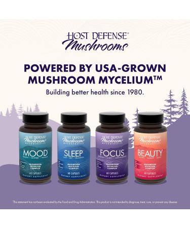 Host Defense MycoBenefits Focus Capsules - Mushroom Supplement for Brain Health Support - Neurological Function Aid for Adults - Includes Lion's Mane Reishi & B Vitamins - 60 Capsules (30 Servings) - Buy Online on GoSupps.com