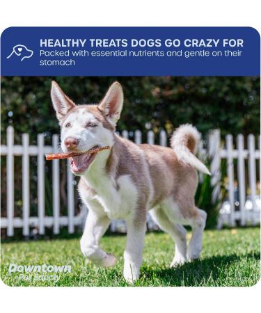 Downtown Pet Supply 12-inch Bully Sticks for Large Dogs Pack of 8 - Single Ingredient Rawhide Free Dog Chews for Aggressive Chewers - Nutrient-Rich and Odor Free Bully Sticks for Dogs - Beef - Buy Online on GoSupps.com