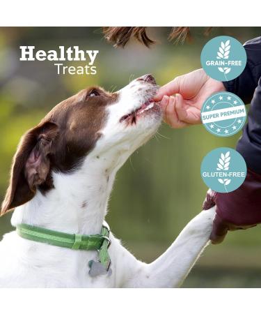 Drool Pet Products Dog Food Pate 1 x Beef Pate 1 x Turkey Pate | Twin pack 2 x 400g | Premium Pate | Dog Pate Tube - Buy Online on GoSupps.com