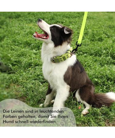 Tag Trag Leash for Dogs - Waterproof 5m Neon Yellow Drag Line with Handle & D-Ring | Ideal for Small to Medium Dogs - Easy to Clean Training Line - Buy Online on GoSupps.com