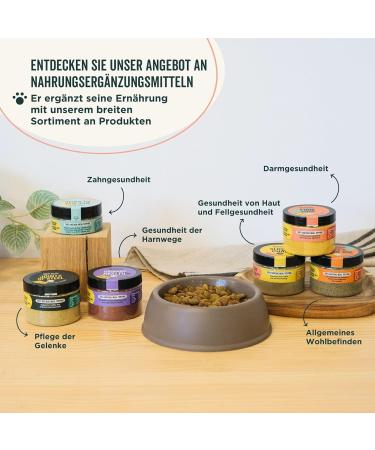 Wolf Belly Cranberry Powder for Dogs & Cats - Natural Bladder Health Struvite Stone Relief & Incontinence Support (60g) - Buy Online on GoSupps.com