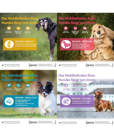 Wellness Core Reward+ Tasting Package - 4 Flavors of Cereal-Free Dog Treats - 680g Test Pack | International Shipping Available - Buy Online on GoSupps.com