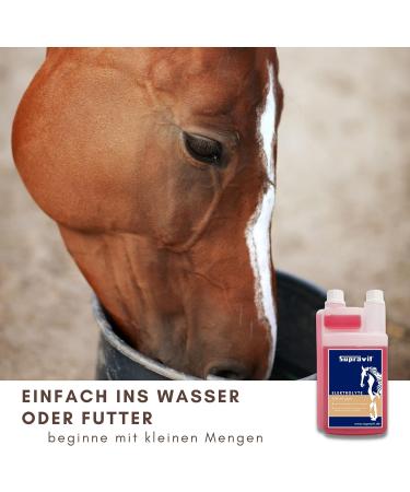 Supravit Electrolytes for Horses | 1000ml Dosing Bottle | Supports Hydration & Recovery from Sweating Diarrhea & Electrolyte Loss - Shop Internationally - Buy Online on GoSupps.com