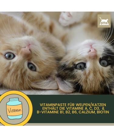 Emma Cats Vitamins - High-Dose Vitamin B Complex Paste for Cats | 15ml Multi-Vitamin with Vitamins A D C | Immune System Support for Kittens & Seniors - Buy Online on GoSupps.com