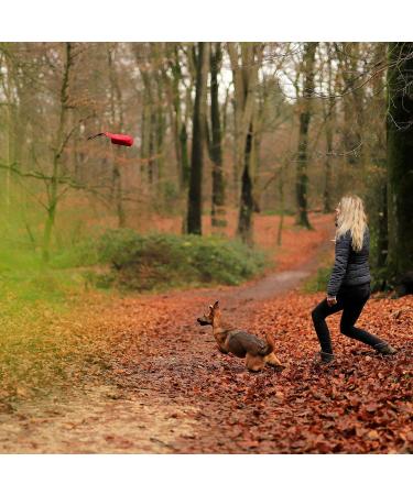 Liono Durable Dog Feed Bag - Water-Repellent Snack Bag with Zipper & Velcro | 18x7x7 cm | Red with Custom Name Print | Perfect for Treats & Travel - Buy Online on GoSupps.com