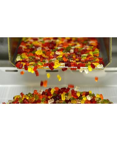 HARIBO Haribo Gold Bears Giant Party Size Tub 1400 Grams of Teddy Bear Gummies - Buy Online on GoSupps.com
