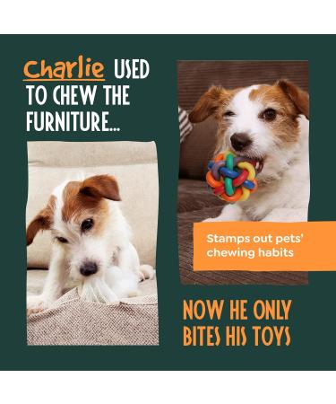 No Chew Bitter Spray for Dogs - Anti Chew Deterrent - Alcohol-Free and Odorless - Buy Online on GoSupps.com