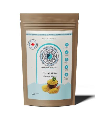 Foxtail Millet (kangni) I 100% Pure I Nutrient Powerhouse I High Proteing Content I Phoksatel Baajara Thinai Kirra Thinna Navane