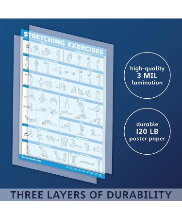 Quickfit Stretching Exercises & Muscle Anatomy Poster Set - Laminated Workout Diagrams (45.7 x 68.6 cm) - Enhance Your Stretching Routine! - Buy Online on GoSupps.com