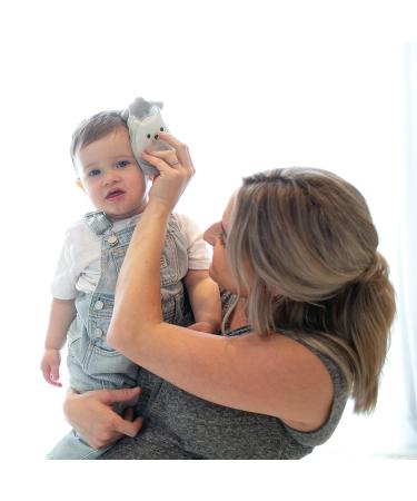 Dr. Brown's Cold Comfort Compress Baby Ice Pack - 2-Pack - Buy Online on GoSupps.com