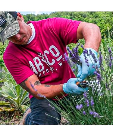Organic Lavender Cream 2oz | Hand, Body & Face Moisturizer | Appalachian Botanical Co | Lavender Lotion - Buy Online on GoSupps.com