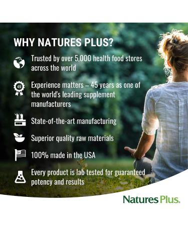 NaturesPlus SPIRU-TEIN Strawberry 5 lbs Protein Shake Powder - Plant Based Meal Replacement with Vitamins & Minerals - Vegetarian, Gluten-Free - 67 Servings - Buy Online on GoSupps.com