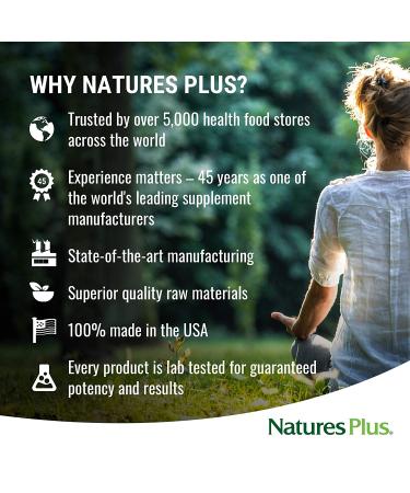 Nature's Plus Spiru-Tein High Protein Energy Meal - Strawberry Flavor, 2.4 lbs (1088g) - Buy Online on GoSupps.com