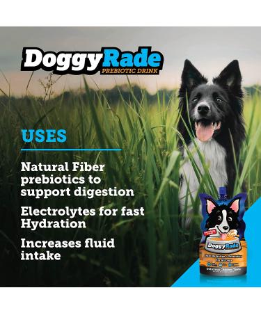 Tonisity DoggyRade - Delicious Healthy Isotonic Drink for Dogs | Electrolytes & Nutrients | YummyRade Variety Option | Fast Hydration - 3 Pack - Buy Online on GoSupps.com