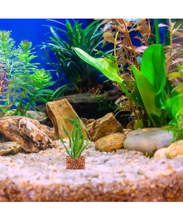 Buy Oseczmut Plant Weights & Anchors for Aquariums | Heavy-Duty Ring & Flower Pot Holder for Aquarium Landscapes - Buy Online on GoSupps.com