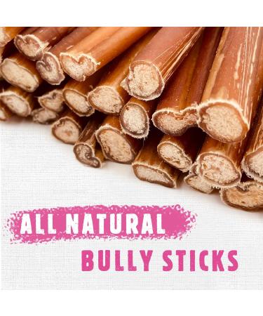 Premium Bully Sticks for Dogs - All-Natural Beef Pizzle Sticks for Puppies to Medium Dogs Dental Chew Treats for Healthy Teeth and Gums Fully Digestible Gluten-Free (Thin 12-15 cm 250gr) Thin-Regular 15 count (Pack of 1) - Buy Online on GoSupps.com
