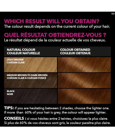 Garnier Olia Permanent Hair Dye Ammonia-Free Hair Color 5.3 Medium Golden Brown Long-Lasting Hair Shine With 60% Oils 1 Application BROWN SHADES 5.3 Medium Golden Brown - Buy Online on GoSupps.com