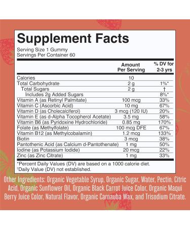 MaryRuth's Toddler Multivitamin Gummies | USDA Organic | 2 Month Supply | Kids Age 2+ | Vitamin C, D3, Zinc | 1 Gummy/Day | 60 Ct - Buy Online on GoSupps.com