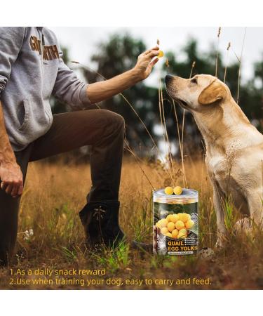 Freeze-Dried Quail Egg Yolk for Cats and Dogs Training 240g Healthy Tasty Freeze-Dried Pet Food Limited Ingredient Quail Egg Yolk Natural High Protein Pet Treats Snacks for Dogs Cats - Buy Online on GoSupps.com