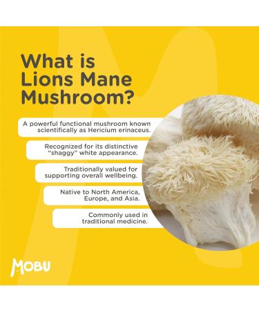 Lions Mane Supplement 4000mg with Vitamin B1 & Black Pepper 120 Vegan Tablets - Lion's Mane Mushroom 15:1 Extract UK Made for Mental Performance & Nervous System - Buy Online on GoSupps.com