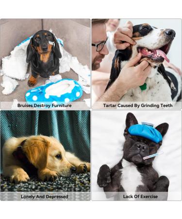 Laroo Dog Frisbee - 24.5cm Soft Bite-Proof Flying Disc Toy for Large Dogs | Outdoor Training & Fun - Buy Online on GoSupps.com