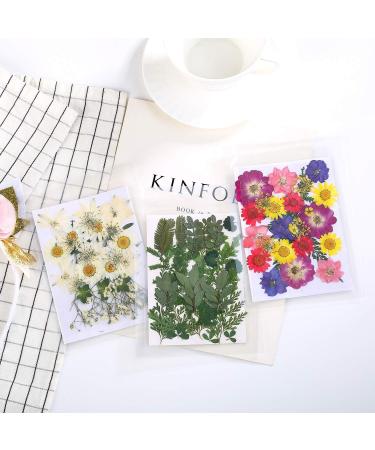 72 PCS Real Dried White Daisy Pressed Flowers for Resin Mold Craft Jewelry Making - Buy Online on GoSupps.com
