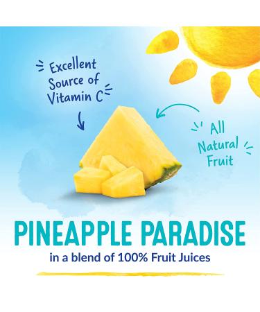 Dole Pineapple Chunks in 100% Fruit Juice  23.5 Oz Resealable Jar 1.46 Pound (Pack of 1) - Buy Online on GoSupps.com