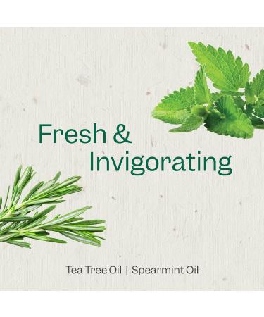 Renpure Tea Tree & Mint Body Wash - Cleanses Invigorates & Refreshes Skin Without Over-Drying - For All Skin Types - Tea Tree Leaf Oil Spearmint Leaf Oil - 24 Fl Oz each 2 Pack Tea Tree & Mint 48 Ounce (Pack of 1) Green - Buy Online on GoSupps.com