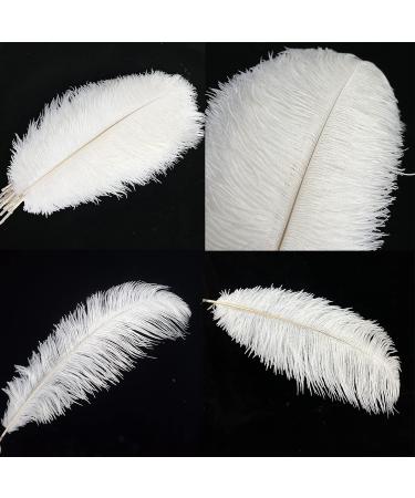White Ostrich Feathers Craft Pack - 10pcs, 16-18 inch for Wedding, Party, DIY Decor - Buy Online on GoSupps.com