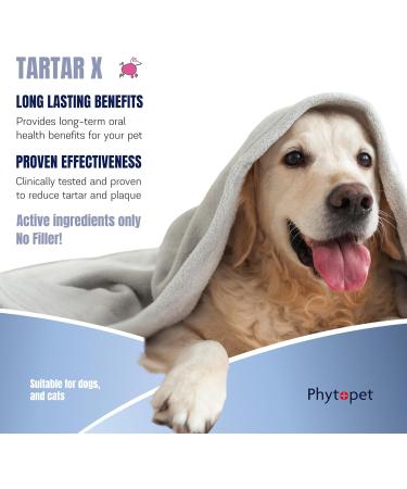 Phytopet TartarX | XL 300g | 100% Natural Herbal Remedy | Tartar Control Breath Freshener and Plaque Removal | For Dogs Cats & Horses 300 g (Pack of 1) - Buy Online on GoSupps.com