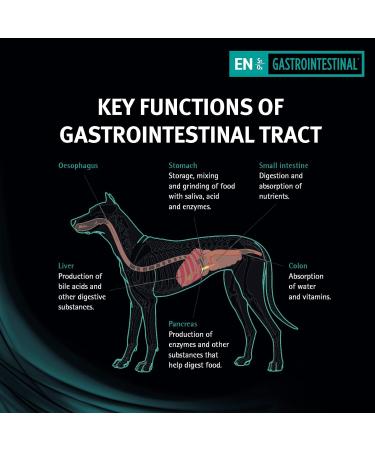 PRO PLAN VETERINARY DIETS EN Gastrointestinal Dry Dog Food 12kg Variety 12 kg (Pack of 1) - Buy Online on GoSupps.com