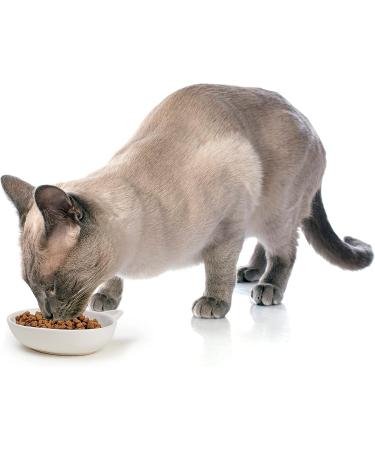 PetRageous Oval Frisky Kitty Stoneware Cat Bowl - 5.5 Wide, 1.5 Tall, 5.3oz Capacity, Dishwasher Safe - White - Buy Online on GoSupps.com