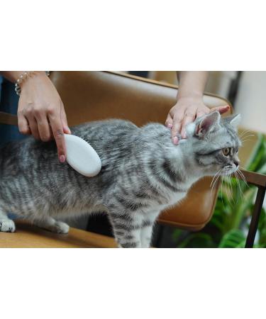 Lucybalu Cat Brush for Short & Long Hair | Premium Cat Grooming Tool with Metal Bristles & Wooden Handle | Perfect for All Cat Breeds - Buy Online on GoSupps.com