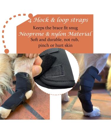 Dog Hock Brace for Rear Legs - Dog Wrap Protects Injuries and Sprains Arthritis Support with (1 Pair) - Buy Online on GoSupps.com
