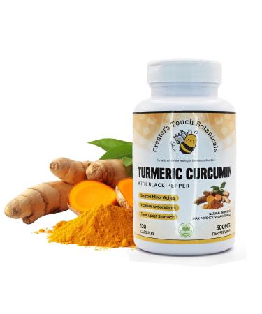 Creator's Touch Botanicals Turmeric Curcumin Supplement 120 Vegetable Capsules 100% Pure and Natural Turmeric Curcumin (Curcuma Longa)