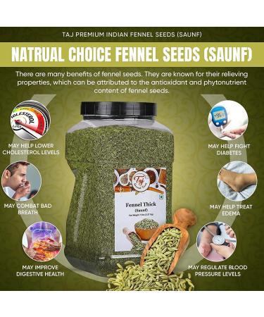Taj Premium Indian Fennel Powder - 5 Pounds Jar | Saunf Ground Spice - Buy Online on GoSupps.com