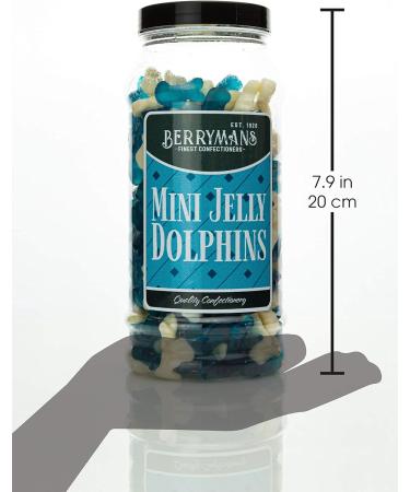 Berrymans Sweet Shop Mini Jelly Dolphins Retro Gummy Sweets Gift Jar - Classic Traditional Taste - Buy Online on GoSupps.com