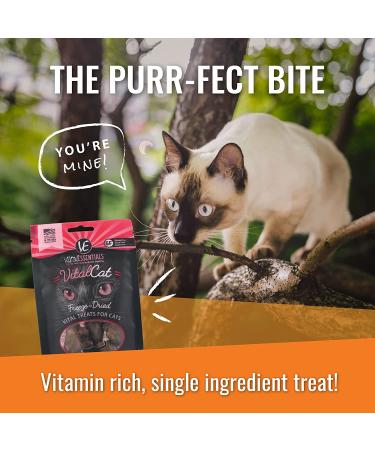 Vital Essentials Freeze Dried Minnow Cat Treats - Premium Quality and Delicious Flavor for Your Feline Friend - Buy Online on GoSupps.com