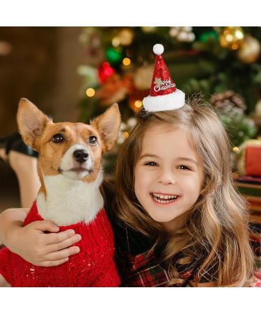 Minkissy Christmas Santa Hat Hair Clip for Girls - Glittering Holiday Hair Accessories - Buy Online on GoSupps.com