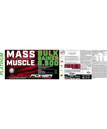 Alphapower Food Maas Whey Protein - Muscle Weight Gainer 2kg Chocolate + Creatine & BCAA - Hardgainer Shake | Premium Muscle Mass & Muscle Building Supplement - Buy Online on GoSupps.com