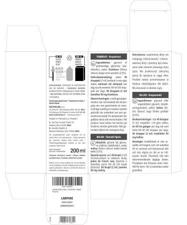  Naturalma Raspberry (Rubus idaeus) Alcohol-free gemmo-derived extract made from fresh buds - Naturalma - Liquid extract drops 200 ml - Food supplement - Vegan - Buy Online on GoSupps.com