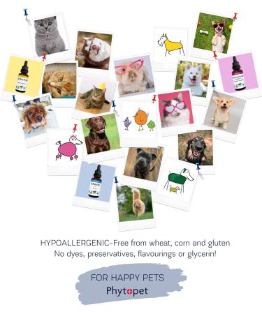 Phytopet TartarX | XL 300g | 100% Natural Herbal Remedy | Tartar Control Breath Freshener and Plaque Removal | For Dogs Cats & Horses 300 g (Pack of 1) - Buy Online on GoSupps.com