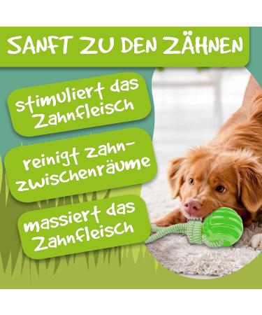 Rootnoot Neon Green Throwing Ball with Rope for Dogs | Eco-Friendly Fetch Toy | Track & Train Your Dog with Stable Design - Buy Online on GoSupps.com