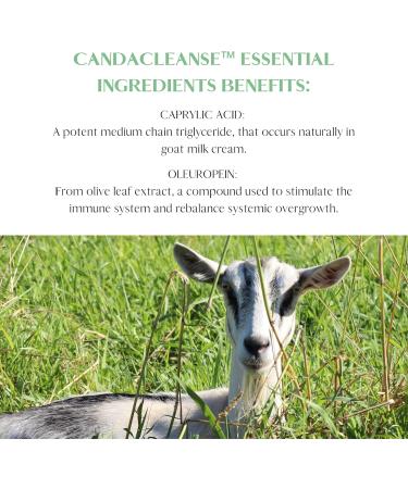 Mt. Capra Canda Cleanse - Intestinal Wellness Support with Enzymes Caprylic Acid & Herbal Extracts - Shop Internationally - Buy Online on GoSupps.com