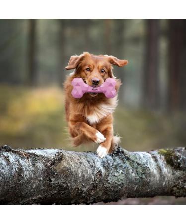 Durable Dog Chewing Tools: Natural Rubber Toys for Aggressive Chewers | Boredom Busters & Dental Care | Large Pink (1 Pack) - Buy Online on GoSupps.com