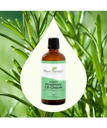 Buy Plant Therapy Organic Rosemary Essential Oil 100% Pure | USDA Certified Organic Aromatherapy | Undiluted & Therapeutic Grade 100 mL - Buy Online on GoSupps.com