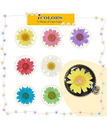 84 Pieces Real Dried Pressed Flowers - Natural Daisy Variety for DIY Crafts & Decorations - 7 Colors - Resin Casting, Jewelry, Candle, Soap Making Supplies - Buy Online on GoSupps.com
