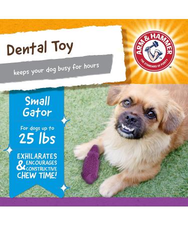 Arm & Hammer Treadz Dental Toy for Strong Chewers - Small Gator - Buy Online on GoSupps.com